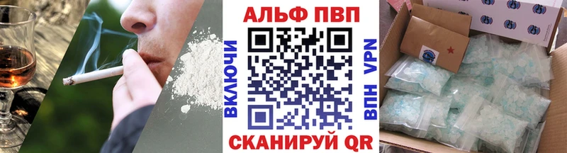 Alfa_PVP СК КРИС Нижний Новгород