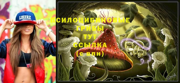 MDMA Premium VHQ Алзамай