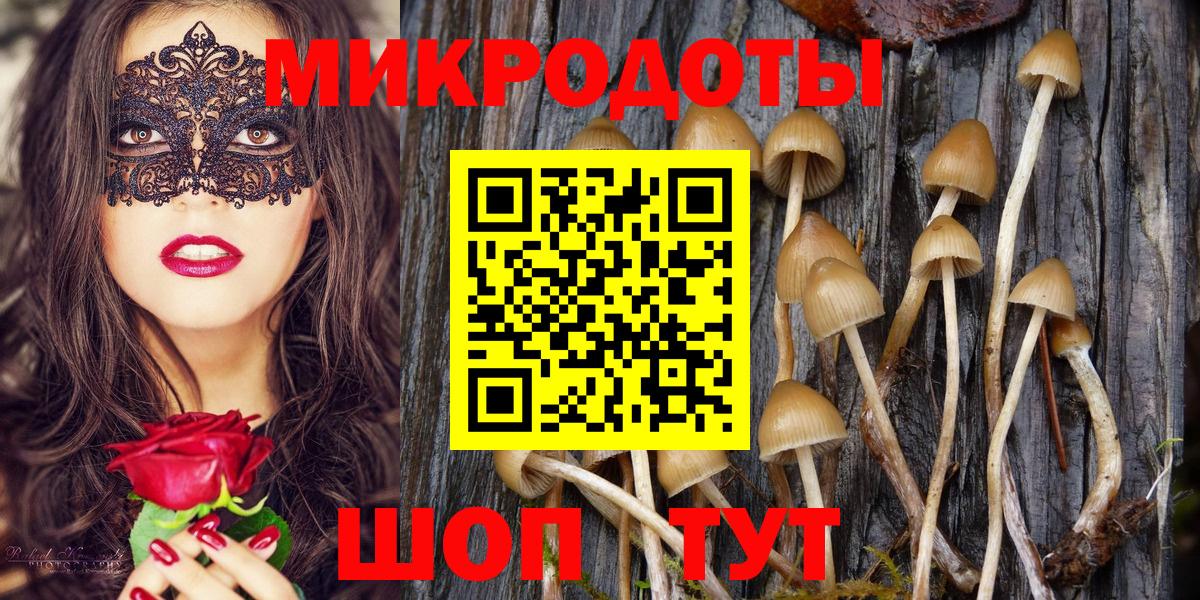 Галлюциногенные грибы прущие грибы Нижний Новгород
